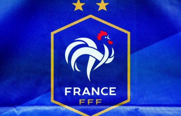 Why this figure of the France team stops