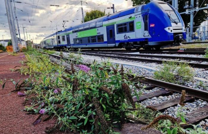 “The damage is significant”: SNCF traffic slows down between Paris and Oise following cut and burned cables