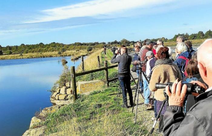 The Regional Natural Park celebrates at the Chorus in Vannes, this Sunday, December 1st