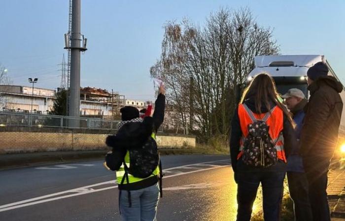 Teachers’ strike: “The government is denigrating pedagogy”, denounces Cécile in La Louvière