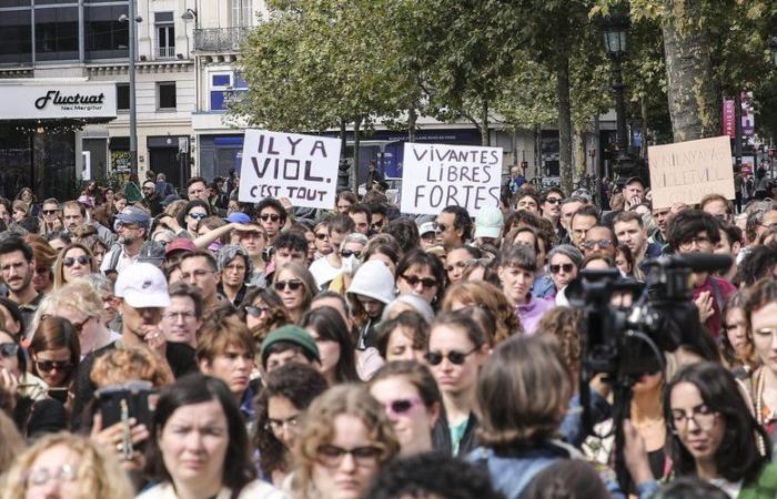 Mazan rape trial: sentences of 10 to 13 years in prison required against 19 of the 50 co-defendants before the Vaucluse criminal court