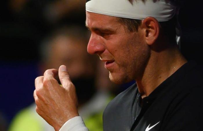 “this is not the life I wanted”, Juan Martin Del Potro describes his ordeal on social networks