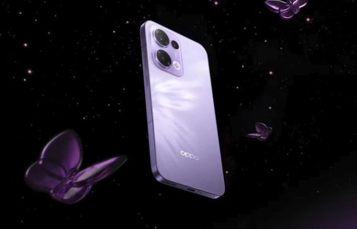 Oppo has unveiled the Reno13 and Reno13 Pro smartphones, featuring a new Dimensity 8350 chipset and IP69 protection.