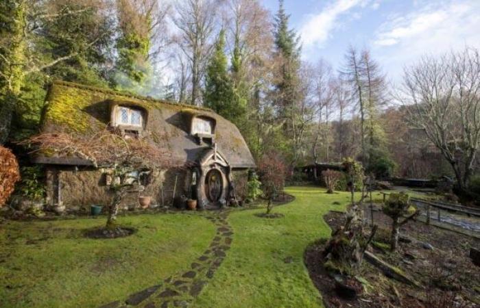 An inventive 90-year-old lumberjack has built his own house where he lives completely independently, far from modern conveniences