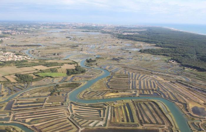 this mayor of Vendée continues his standoff with Free