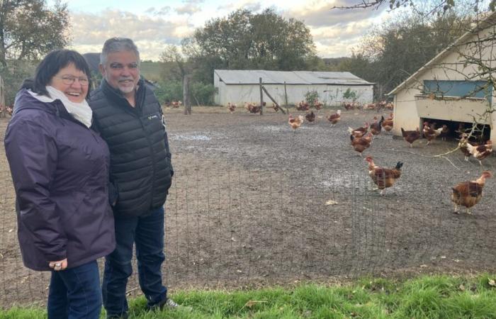 Local poultry for Indre-et-Loire colleges