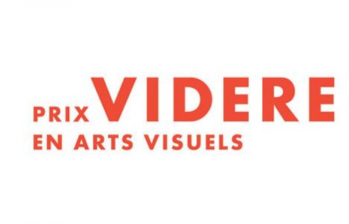 Manif d’art announces the winners of the Videre Prizes