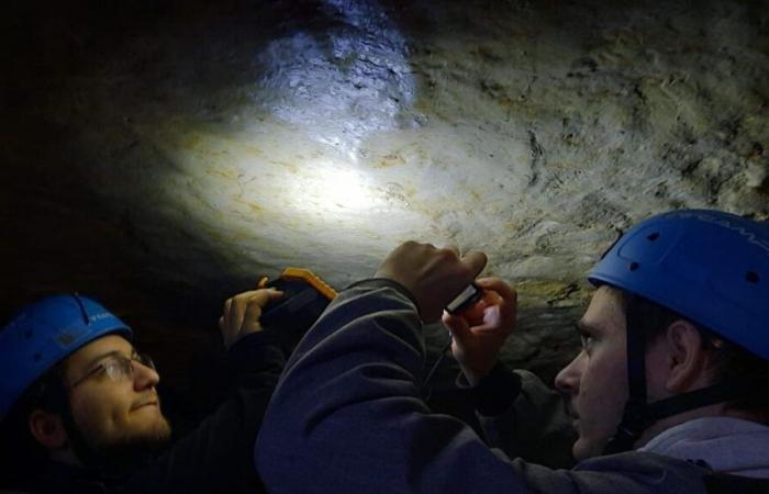 Côte-d’Or: researchers and students tackling the new secrets of the Bèze cave