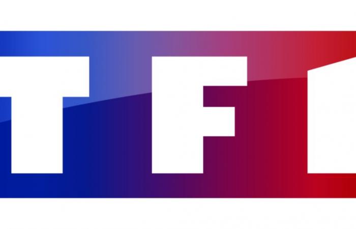 TF1 partners with Netflix to co-broadcast a daily series in 2025