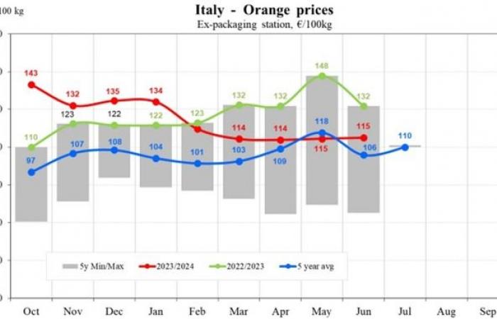 EU orange prices fall by 17.83% in 2024