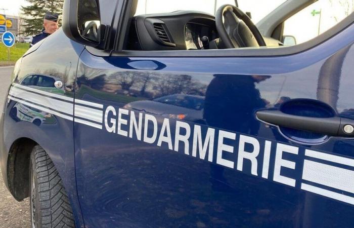 Disturbing disappearance of a teenage girl in Côtes d’Armor