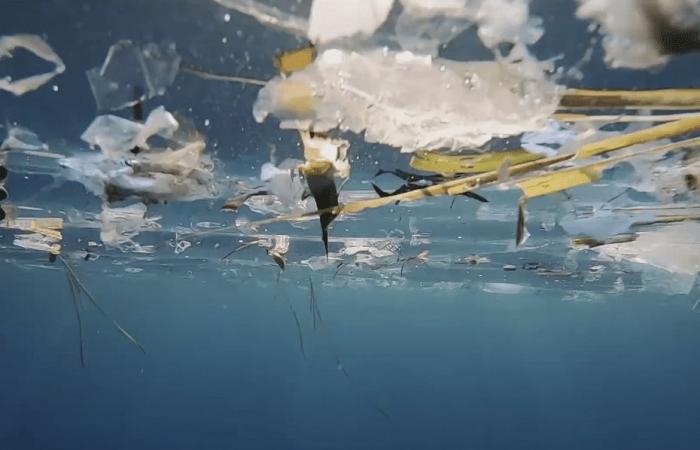 Corsica, buried under plastic waste, hopes that the States will find an agreement to fight against this pollution