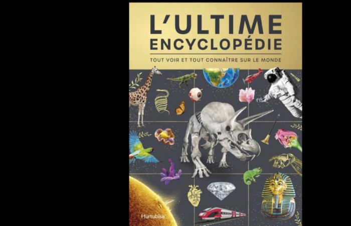 The ultimate encyclopedia, a bit too crazy a bet