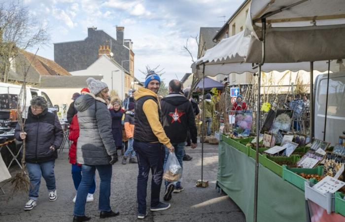 Despite the snow and the storm, this Orne fair survives: “It was complicated”