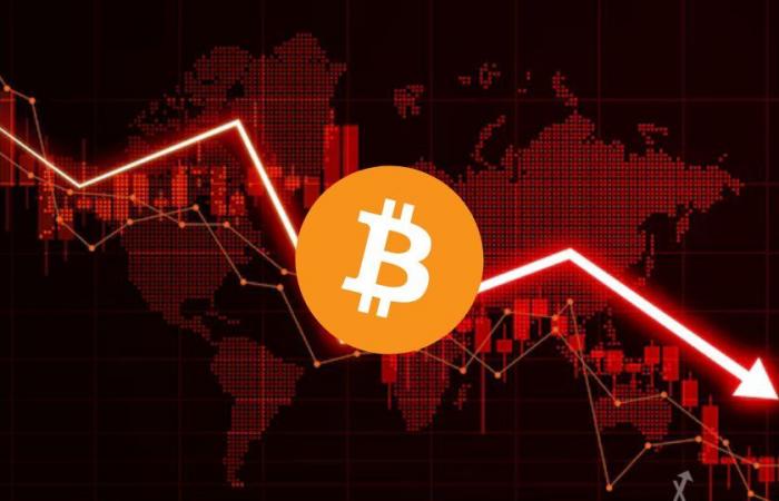 Bitcoin collapses to $92,000: Should we seize the opportunity?