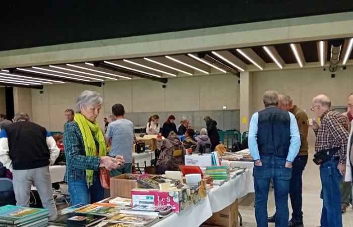 Onet-le-Château. Used books and records were in the spotlight at the Athyrium