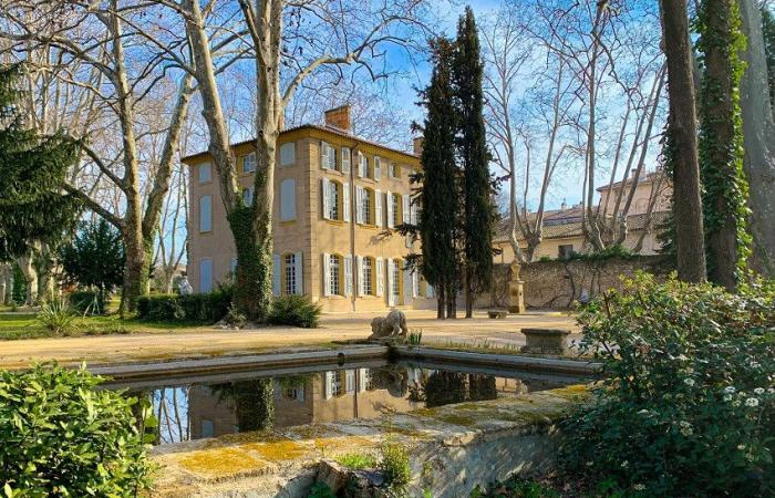 Exhibitions, city tours, immersive visits… Aix-en-Provence is preparing a grandiose tribute to Cezanne