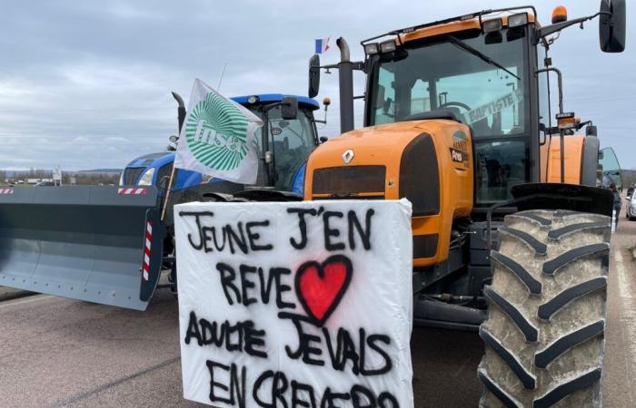 Côte-d’Or – Farmers’ anger intensifies with targeted mobilizations