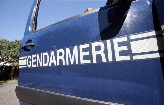 A young man found dead in a car fished out of the Gave de Lourdios in Issor