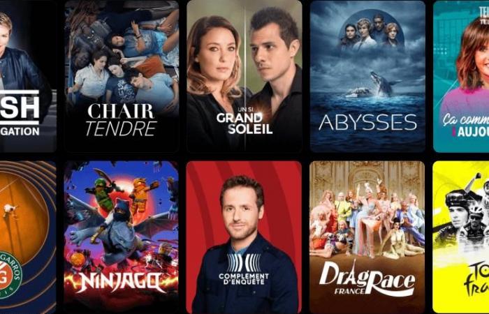 What's new in Canal+ offers in November 2024?