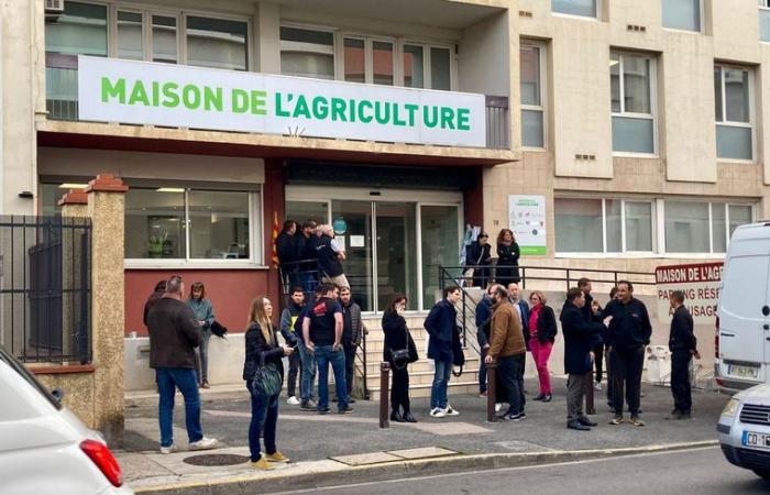 LIVE. Angry farmers: End of the blockade of the southern toll of the A9 in Perpignan, this Tuesday evening