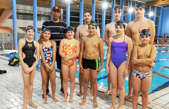 In Guingamp, swimmers brave fatigue to come to the swimming pool