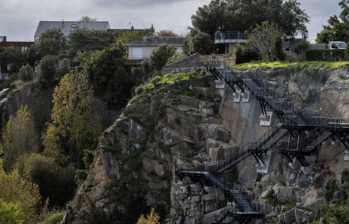 She falls 30 meters in a park in the city center: a 17-year-old girl in “serious condition”