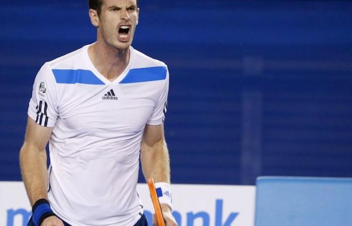 Andy Murray and Novak Djokovic, a not-so-surprising alliance | Did you see?