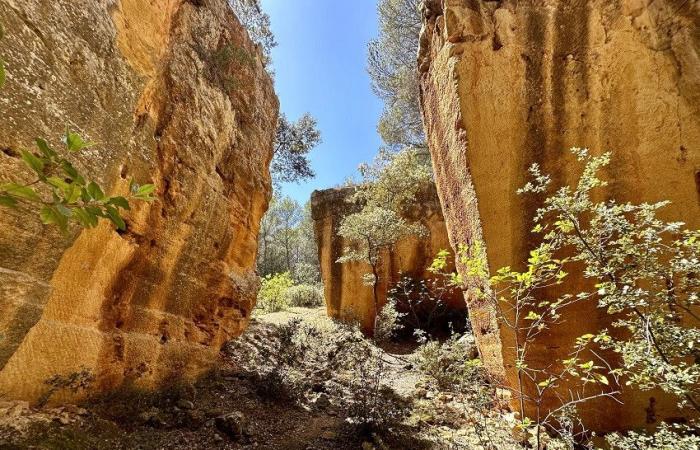 Exhibitions, city tours, immersive visits… Aix-en-Provence is preparing a grandiose tribute to Cezanne