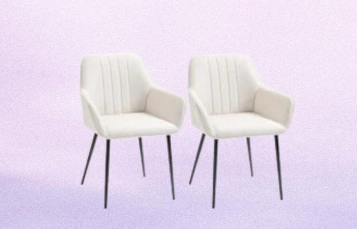 Reinvent your interior at ManoMano with this Black Friday offer on this set of 2 chairs