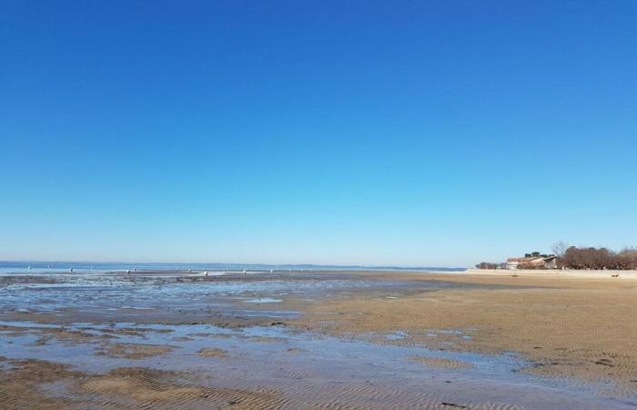 the thirty-year-old who had disappeared in the Arcachon basin found by neighbors in the mud