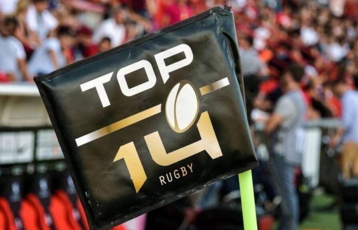 Rugby fan finds himself stuck in Toulouse stadium after the final whistle