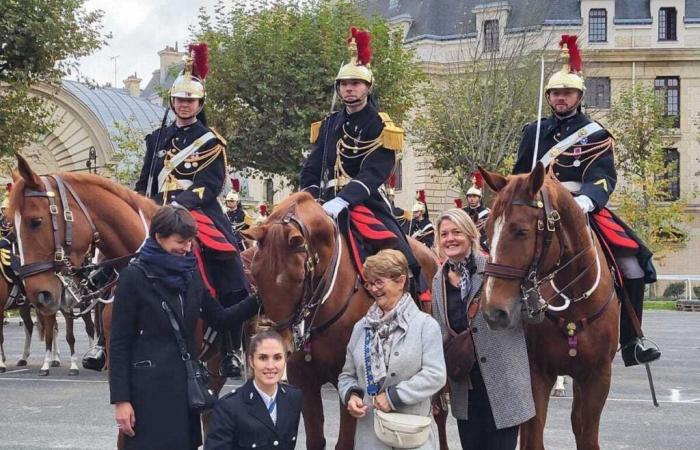 three horses born in the English Channel medal winners