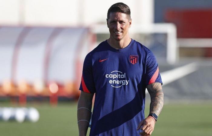 Liverpool and Atletico Madrid legend Fernando Torres turns down management offer