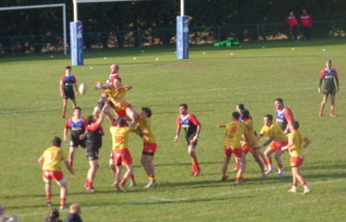 Foix. Rugby: another astronomical score for the USF cadet team