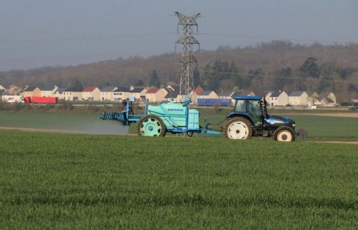 Artificialization of soils in Seine-et-Marne: protecting natural and agricultural land sparks debate