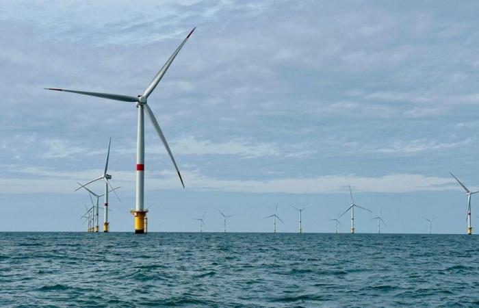 “I love the sea and the environment”: Lilian is the first apprentice in France in an offshore wind farm, in Fécamp