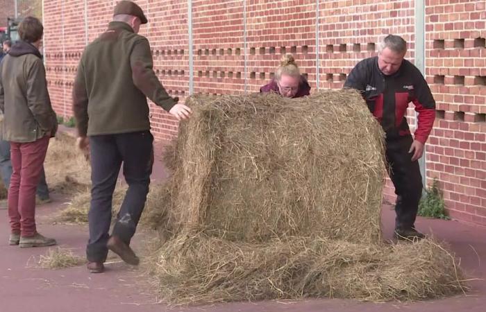 Tractors, bales of straw, land… Why angry farmers are demonstrating in front of the water agency in Rouen