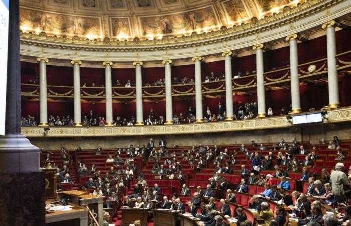 The National Assembly overwhelmingly opposes the treaty between the EU and Mercosur in a consultative vote