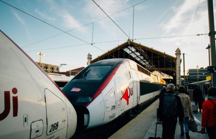 Black Friday: the SNCF TGV INOUI Advantage Card is at a knockdown price, just in time for Christmas