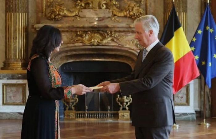 “He elevates the relations of our two countries to a higher level”: the king received the delegate from Palestine, a state not yet recognized by Belgium