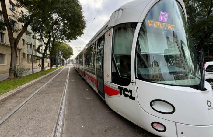 TCL: tram traffic still disrupted in Lyon this Tuesday