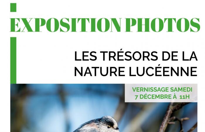 Exhibition “Treasures of Lucean nature” at the town hall