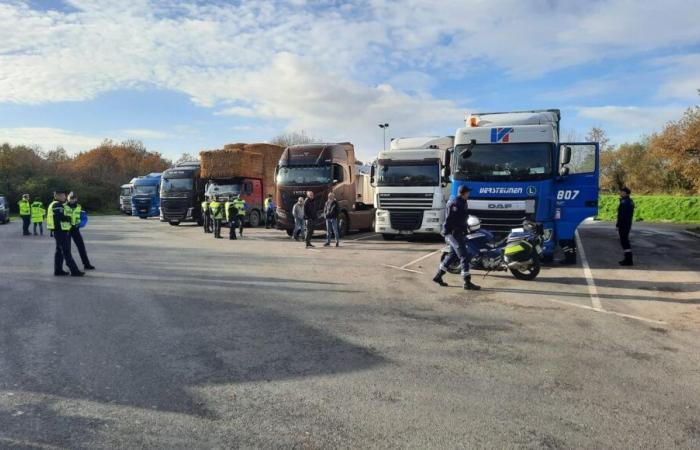 A large-scale road check, as Black Friday approaches, in Ille-et-Vilaine