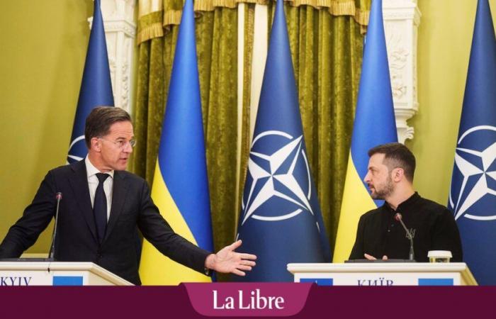 After two years of war, “Ukrainian soldiers have almost nothing left to learn from NATO member countries”