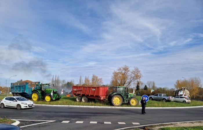 Agricultural movement in Lot-et-Garonne: Farmers occupy the Parasol roundabout in Villeneuve-sur-Lot