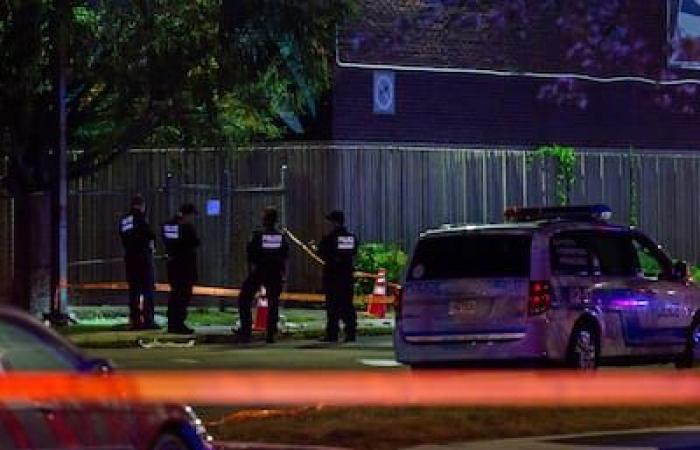 Free murder in Montreal North: police looking for the killers’ weapons