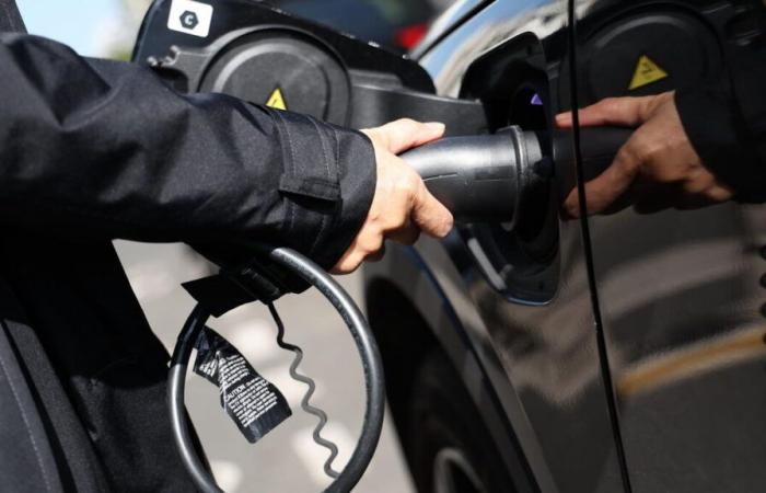 Aid for the purchase of an electric car significantly reduced: what will change