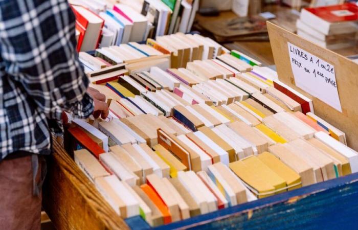 Should second-hand books be taxed or not?