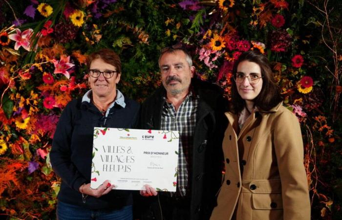 the 2024 list of towns and villages in bloom